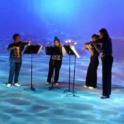 PMF Ensemble Concert